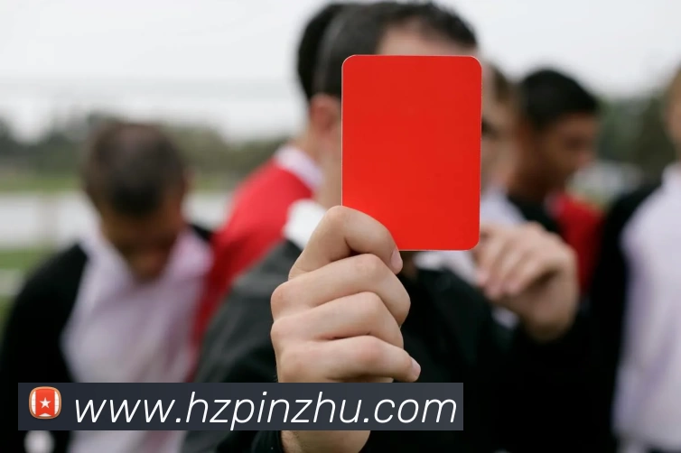 开云官网APP 封面图